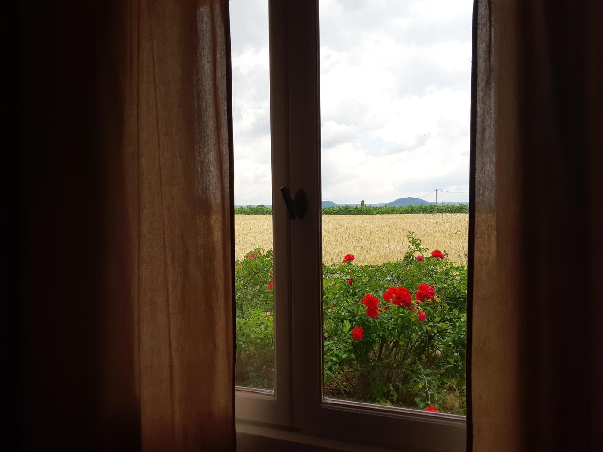 Chambres D'Hotes, B&B La Musardiere Alba-la-Romaine 외부 사진