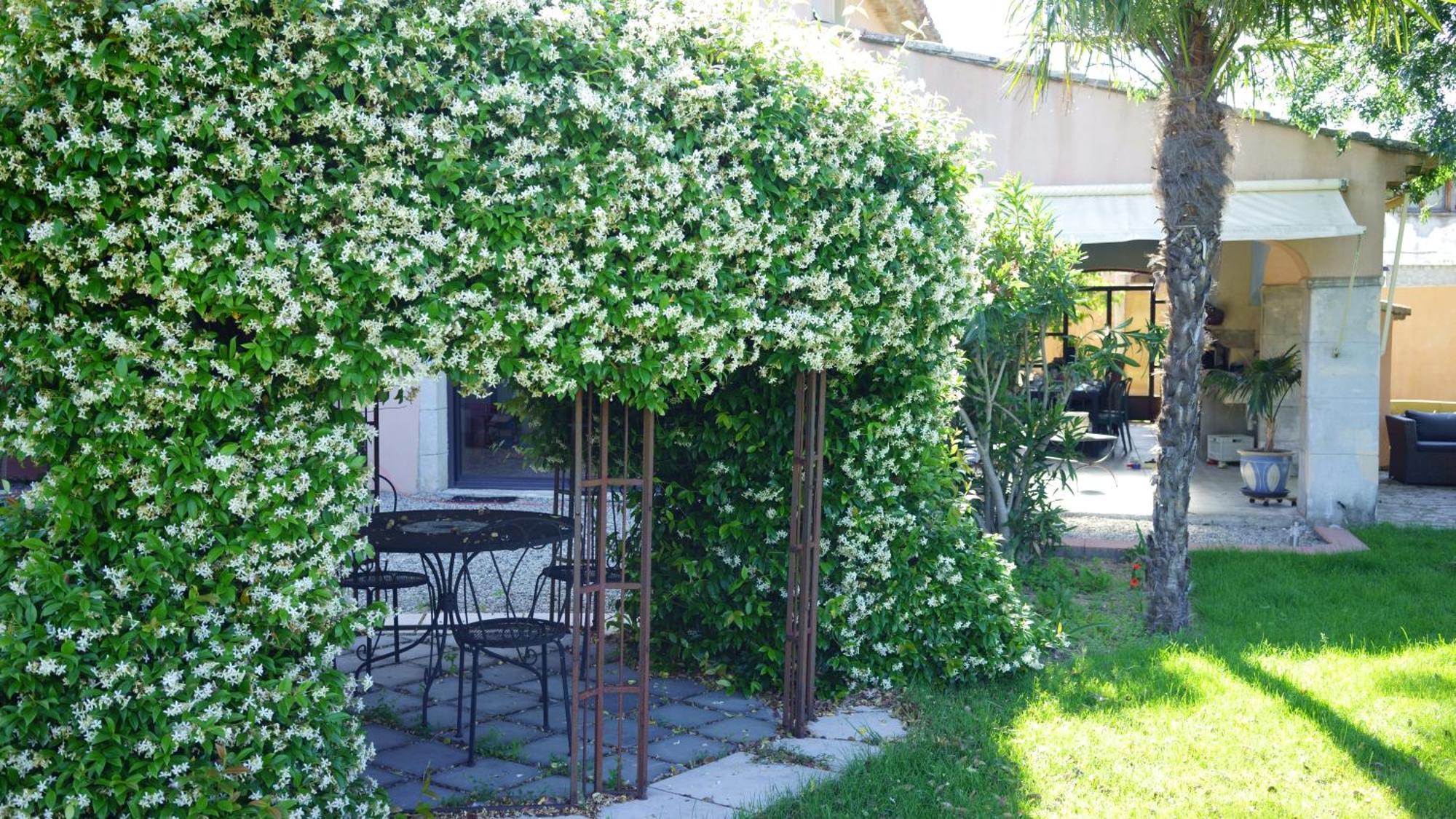 Chambres D'Hotes, B&B La Musardiere Alba-la-Romaine 외부 사진